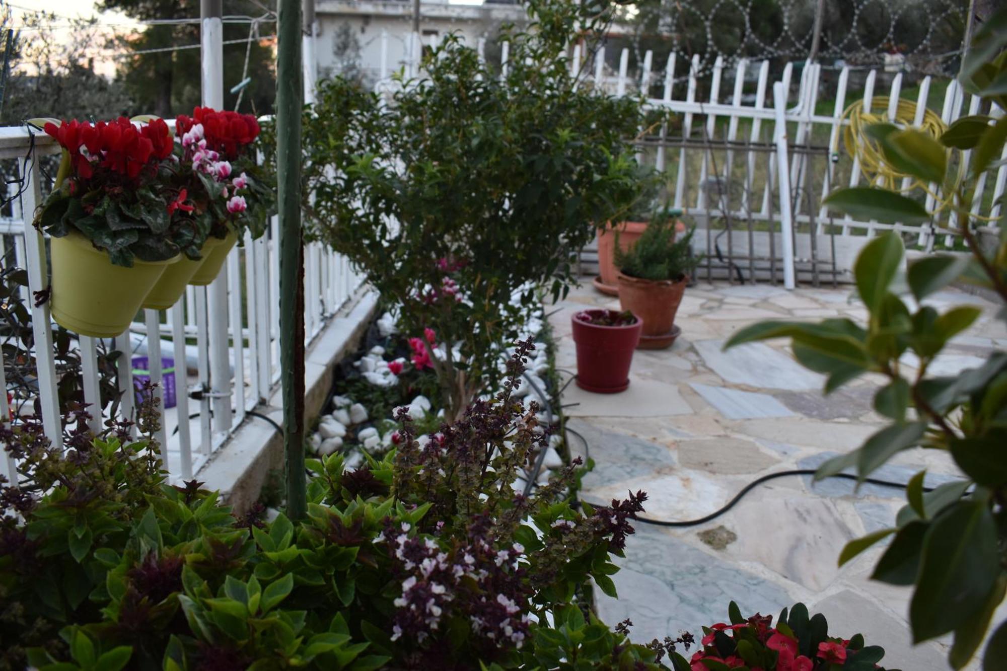 Panorama Γλυκά Νερά - Athens Apartment ภายนอก รูปภาพ